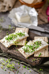 Delicious fresh cheese with herbs on crispbread