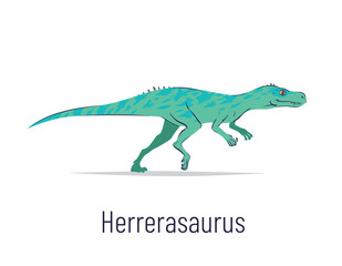 Herrerasaurus. Theropoda dinosaur. Colorful vector illustration of prehistoric creature herrerasaurus in hand drawn flat style isolated on white background. Predatory fossil dinosaur.