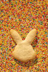 Close-up of Easter cookies in the shape of a rabbit on a colored bright background of sugar balls.