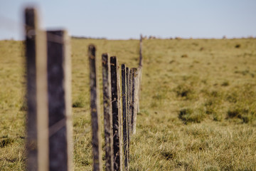 wooden fence in the field
