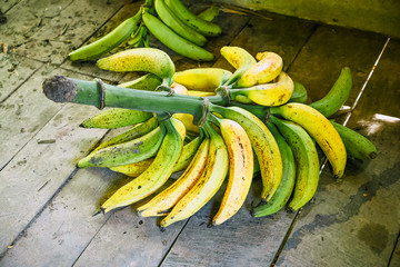 banana platano casco amarilla y verde