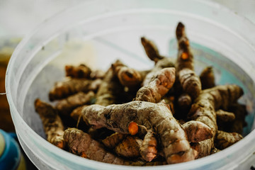 curcuma raiz alimento comida