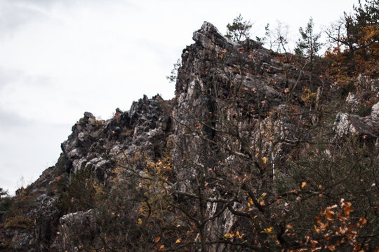 the rock and the greenery in the Park divoka sarka