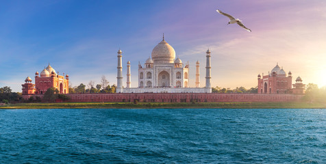 Taj Mahal, wonder of the world in India, Agra - obrazy, fototapety, plakaty