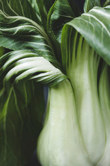 Bok Choy (Pak Choy), or Chinese Kale, close-up
