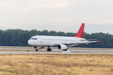 Fototapeta na wymiar Passenger plane lands at airport in Antalya/Turkey