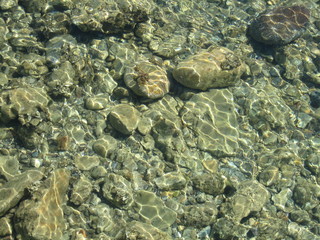Fototapeta na wymiar Through the clear water in the rays of the reflection of the sun, you can see the shallow sea floor of sand, pebbles and stones of a gray brown color.