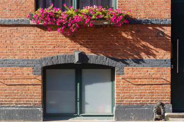 Fototapeta na wymiar an old brick house with a flowered window in Ostend Belgium