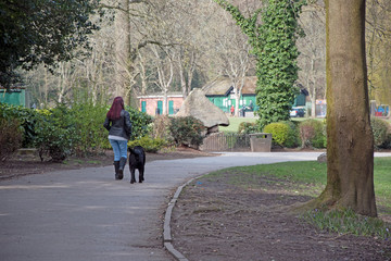 Teenager walking dog in the park