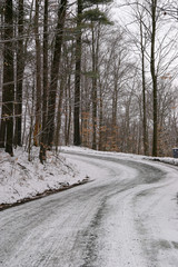 Snow Covered Road Into the Woods