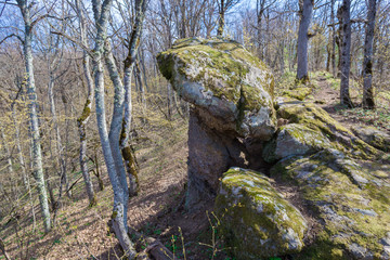 Fototapeta na wymiar Stone mushrooms. Spring landscape