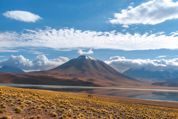 Miscanti Lake in the Atacama Desert, northern Chile, South America.