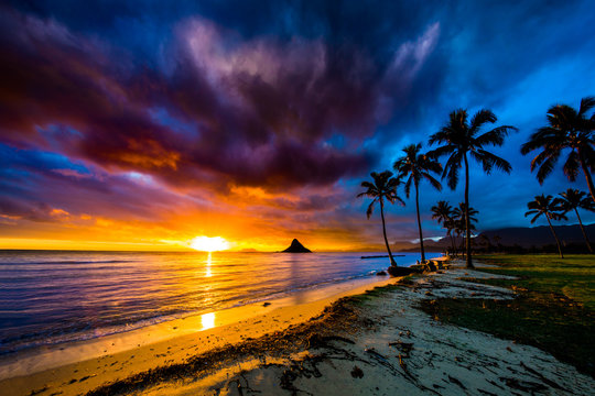 Fototapeta Beautiful sunrise on Oahu