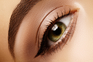 Beautiful Macro Shot of Female Eye with Eyeliner Makeup. Perfect shape of eyebrows. Cosmetics and...