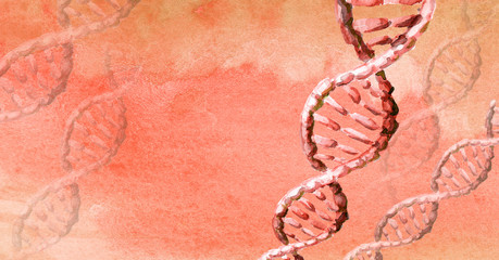 dna helix molecule, Biochemistry Concept. Hand drawn watercolor illustration with copy space