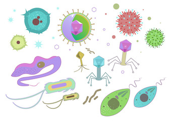 Viruses, parasites and other Microbes 