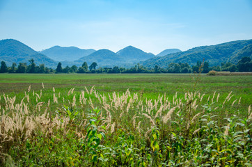 Scenic landscape of countryside green field and mountains on a sunny day