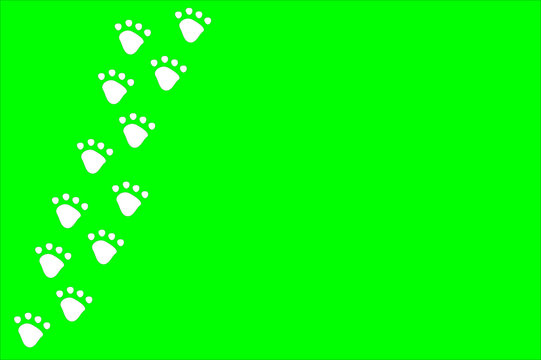 White dog or cat pet footprint tracks on bright green background. Animal and pet concept.