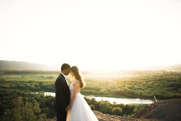 Wedding couple holding hands, groom and bride together on wedding day