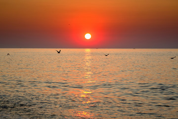Beautiful dawn sunrise at sea. Seascape. Black Sea
