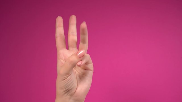Closeup of isolated on pink adult female hand counting from 0 to 5. Woman shows fist fist, then one, two, three, four, five fingers. Manicured nails painted with beautiful pastel polish. Math concept.