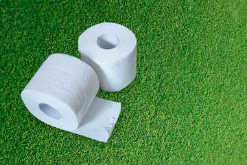two rolls of toilet paper on the green carpet.