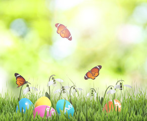 Colorful Easter eggs with flowers in green grass and butterflies on blurred background