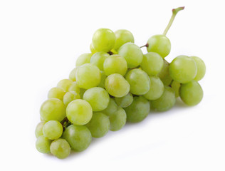Branch of ripe green grapes on white