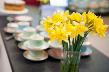 Daffodils Cups and Saucers Tea and Coffee