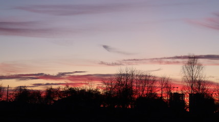 gorgeous bloody sunset in forest