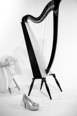Dark harp on a light background.
