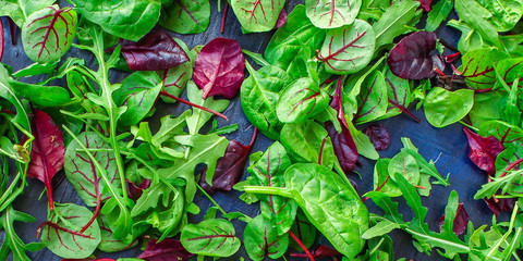 Healthy salad, leaves mix salad (mix micro greens, juicy snack). food background copy space for text