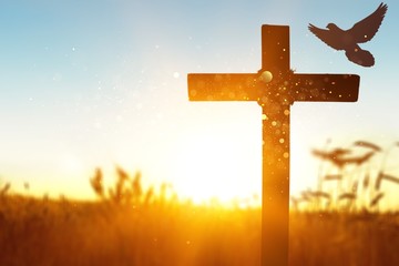 Silhouette of wooden christian cross at the field