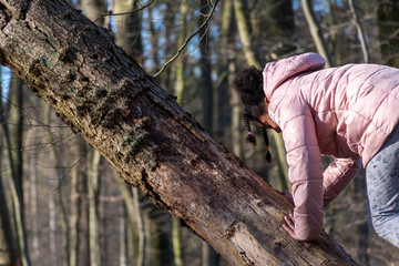 child climbing a tree 