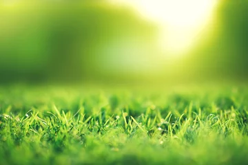 Fotobehang Gras Lente en natuur achtergrond concept, close-up groen grasveld met wazig park en zonlicht.