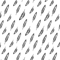 Feather pattern. Freehand drawing. Black and white illustration, packaging. Decorative cover.