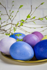 Colorful Easter eggs with spring branches on a white background