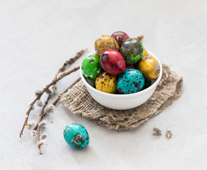 Easter quail colored eggs in a bowl with a willow twig on a light gray background in rustic style