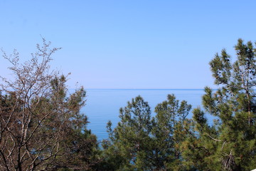 Fototapeta na wymiar Black sea in Abkhazia.