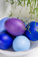 Easter eggs with spring branches on a white background