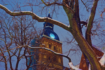 Fototapete bei efototapeten.de bestellen   