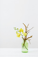 yellow orchids in vase on white background