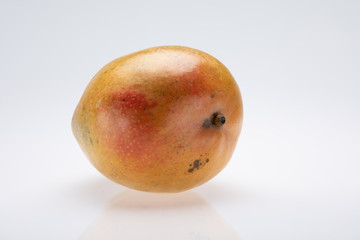 mango  isolated on a white background