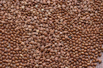 buckwheat. fresh buckwheat. dry buckwheat background. buckwheat texture