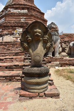 statue of buddha in ayutthaya