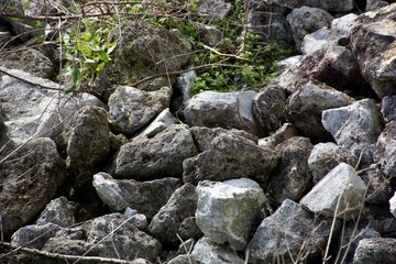 Rocks