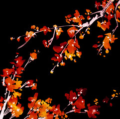 Blossom tree branch © ola_tarakanova