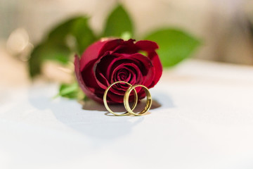 Rosa e Alianças de casamento