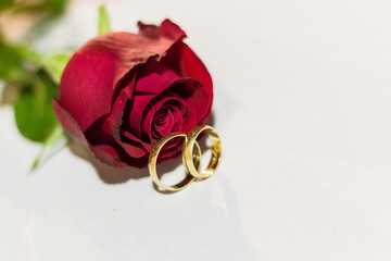 Rosa e Alianças de casamento