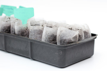 White woven fabric bags with soil in a black plastic container against white background. Isolated home sprouting seedlings process in the ground. Name plates in the dirt.
